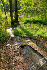 矢ノ原湿原　代官清水