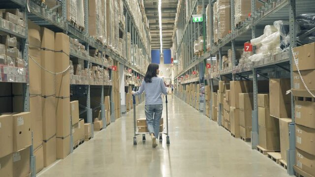 Asian woman working or shopping on shelves at large warehouse retail store industry. Rack of furniture and home accessories store. Interior of cargo in ecommerce and logistic concept. Lifestyle