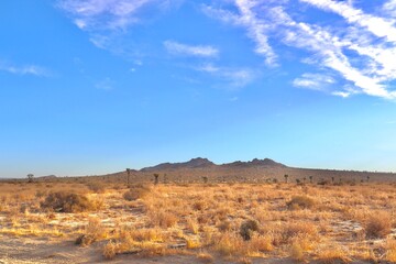 Desert landscape in Southern California 