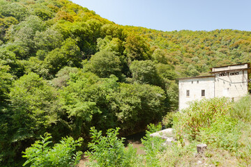 growing on the mountain green trees on a clear day, on the right the old gray building