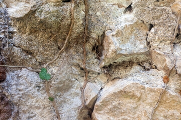 The wall of the fortress is made of old light stone, used as a background or texture