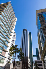 Obraz premium 武蔵小杉の高層マンション群