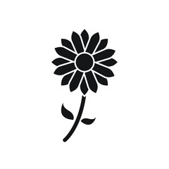 Daisy icon design isolated on white background