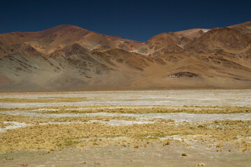 The Andes mountain range. Panorama view of the brown mountains, yellow grass and valley, under a deep blue sky in San Francisco Pass, Catamarca, Argentina. 