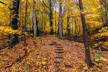 The less traveled path