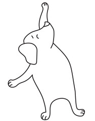 Yoga pets. Cute puppy goes in for sports. Dog yoga. Outline. Vector illustration. Isolated on white