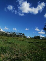 field and blue sky 2
