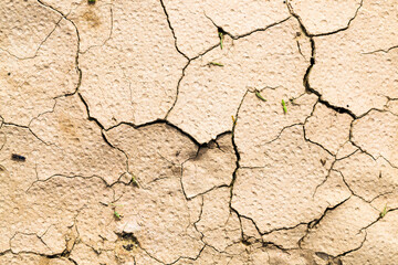 cracked soil in agricultural field