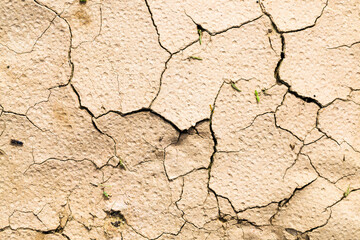 cracked soil in agricultural field