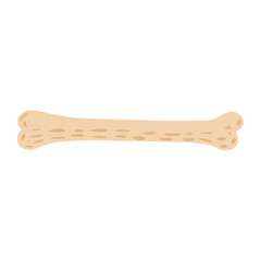 Beige bone isolated on white background. Simple bone size long sketch hand drawn in style doodle.