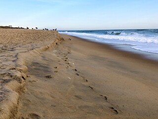 beach in the morning