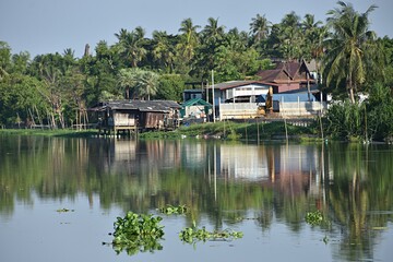 Obraz premium Simple lifestyle. of Thai people. Rural Thai houses on Nakhon Chai Si River, Thailand. Water hyacinth floating on the river and coconut trees in the background. 