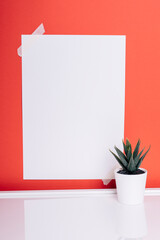 Mock up blank paper on red wall and small plant.