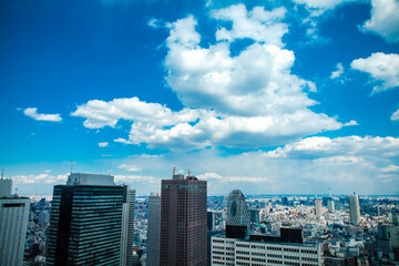 Fototapeta na wymiar 都庁展望台から撮った風景