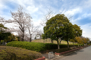 小黒公園（神奈川県横浜市青葉区荏田北）