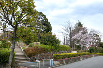 小黒公園（神奈川県横浜市青葉区荏田北）