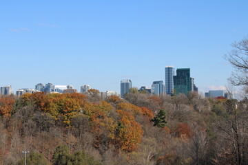autumn in the city