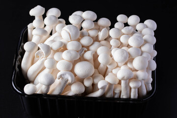 White shimeji mushroom in black box