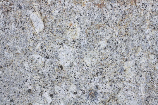 Porphyritic granite surface. Intrusive igneous rock.