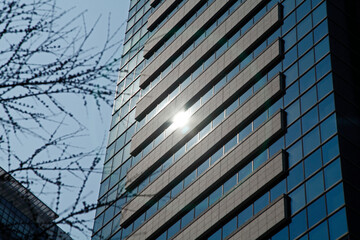 ビルを照らす太陽