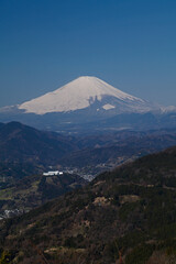 Fototapeta premium 足柄平野と富士山（松田町）