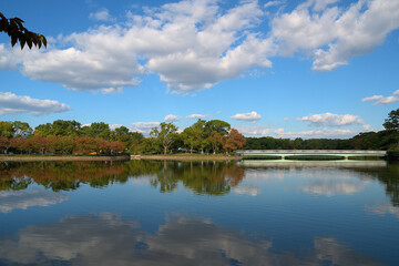 Fototapeta na wymiar 池の水面に、紅葉し始めた木々や秋空の綺麗なリフレクションが見える風景