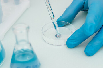 Close up of process of pipetting blue liquid from a flask into a Petri dish.Concept of chemical...