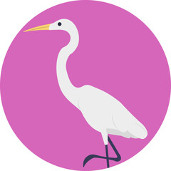 
Crane bird, long legged and long necked bird
