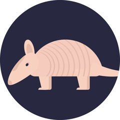 
A fancy mouse is a domesticated form of the house mouse, it is also called feeder mice 
