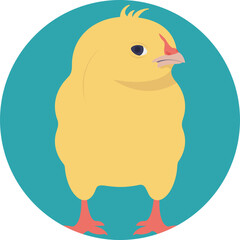 
Chick, a young bird, especially one newly hatched 
