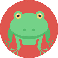 Fototapeta premium Toad is a common name for certain frogs. Like frogs, toads are amphibians 