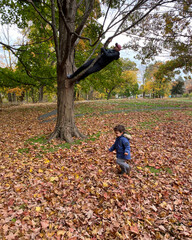 Moroccan toddler running in leaves looking for his daddy who is hiding in tree.