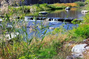 시냇물이 흐르는 아름다운 풍경