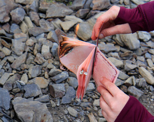 Burning a passport in the mountains