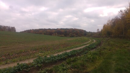 Obraz premium Landshaft