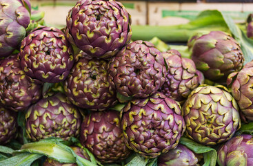 Obraz premium Artichoke