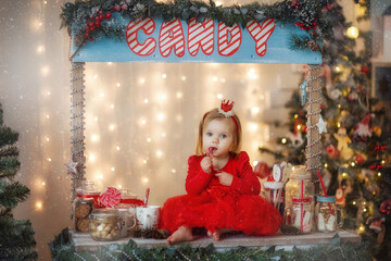 girl child meets the new year, new year decorations, beautiful interior, lots of toys, fun, waiting for the holiday, Christmas