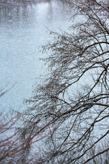奥会津の雪景色　枯れ枝