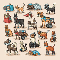 Vector colorful set on the theme of pets, veterinary care, veterinary medicine. Сartoon animals with disabilities, with injuries, fractures. Isolated doodles of cats and dogs for use in design - 390551859