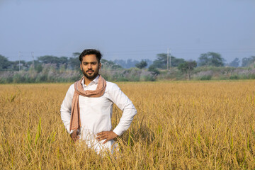 Naklejka na ściany i meble Indian farmer standing in paddy field