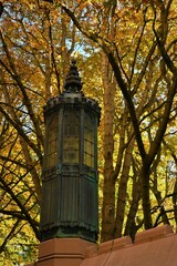 Fototapeta na wymiar autumn in the park with street lamp