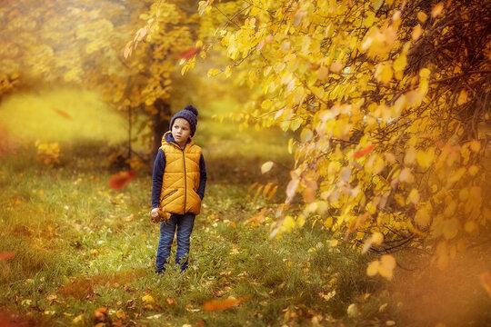 boy child walks in the Park in autumn, October, yellow foliage, Golden autumn, happy childhood