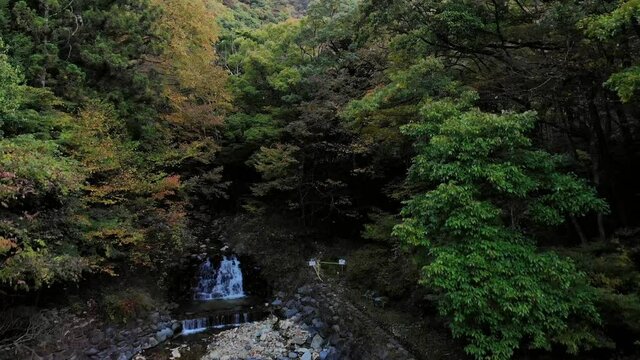 紅葉の那須塩原の森