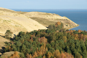 Sandy Grey Dunes at the Curonian Spit in Lithuania