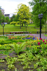 Beautiful Bastejkalna park in summer time, Riga, Latvia