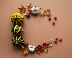 Autumn decoration with pumpkins and dry leaves