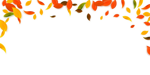 Falling autumn leaves. Red, yellow, green, brown c