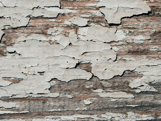 texture of old boards painted with white paint with cracks and scratches
