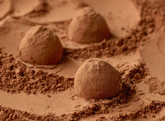 chocolate truffles on cocoa powder background