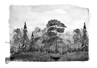 watercolor pattern. Autumn landscape, forest, park. Silhouettes of trees and bushes. Linear curb. Mixed forest - oak, ash, maple, birch, pine, cedar, spruce. Black and white ink drawing.